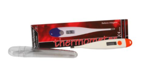 Digital Thermometer