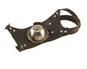 Chin Ball Harness