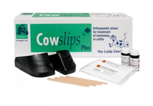 Cow Slips