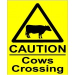 CAUTION COWS CROSSING SIGN