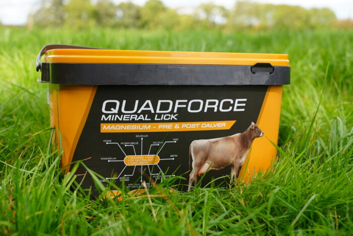 Hi-Mag pre & post calver bucket