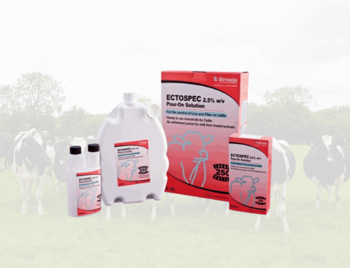 Protect Your Herd This Summer: Smart Strategies for External Parasite Control