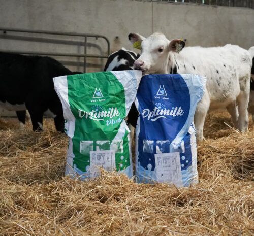 Milk Replacer