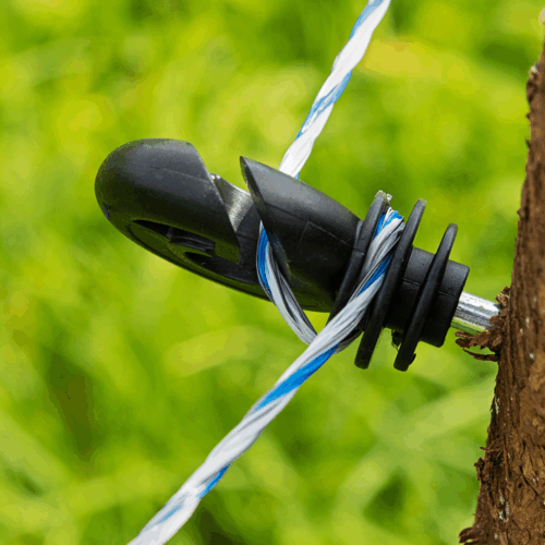 Fencing Equipment