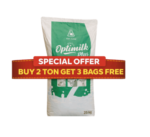 24% MILK REPLACER - Special offer