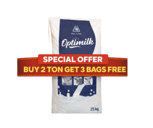26% Skim milk replacer - milk replacer special offer