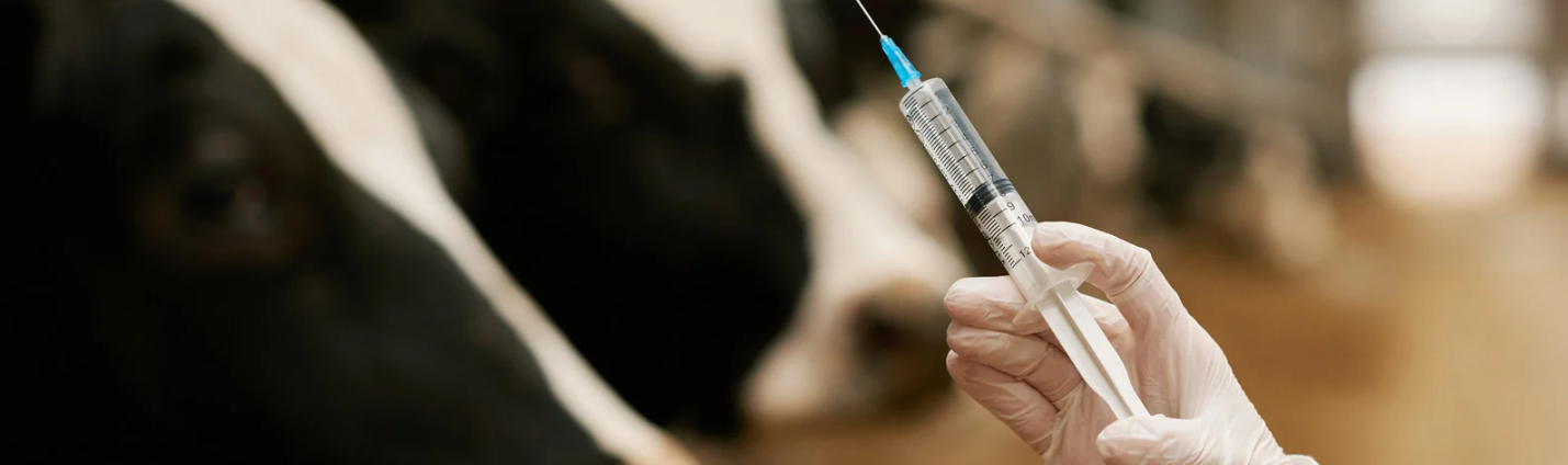 New Regulations for Antiparasitic Medicines